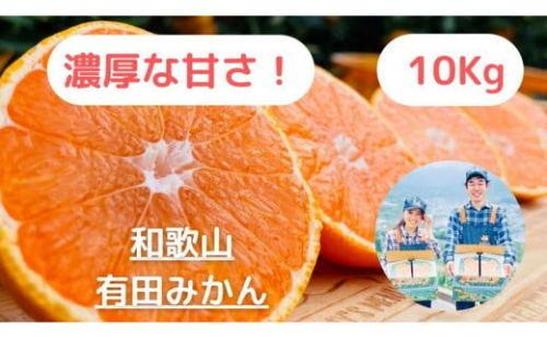 【農家直送】濃厚な甘さの早生みかん10kg/【厳選小みかん】みかんのみっちゃん農園 603691 - 和歌山県有田川町