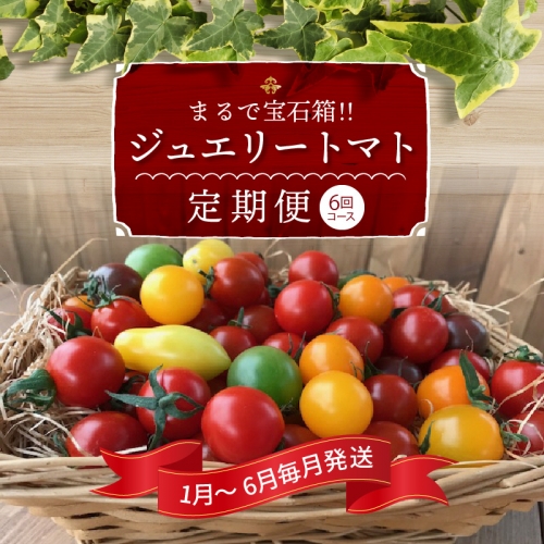 1月～6月毎月発送　まるでトマトの宝石箱！ジュエリートマトの定期便　6回コース　H004-164 604824 - 愛知県碧南市
