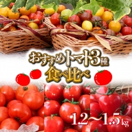 【個数限定】おすすめトマト3種 食べ比べ 1.2～1.5kg　長田農園しかできない夢の共演　H004-148