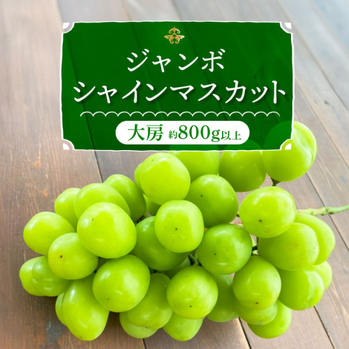 特大房！ みなさんの応援から大きく実った特大シャインマスカット約800ｇ以上（1房）【数量限定】 フルーツ H004-152 604832 - 愛知県碧南市