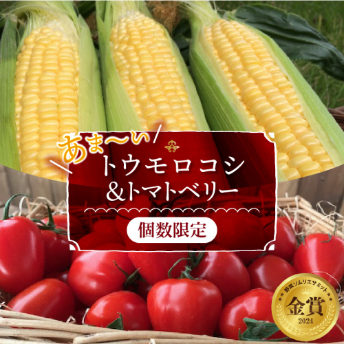 【2025年度予約分】あま～いトウモロコシ＆トマトベリー　長田農園しかできない夢の共演 【個数限定】 野菜ソムリエサミット 金賞 受賞 長田農園 産地直送 トマト とまと 野菜 やさい フルーツ サラダ 濃厚 甘い ご褒美 プレゼント 美容 健康 リピート多数 人気 高評価 数量限定 碧南市 H004-160 604833 - 愛知県碧南市