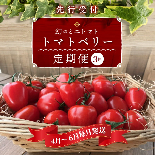 【4月～6月の定期便】たっぷり約2kg×3回！ 人気No.1トマトベリーの定期便 野菜ソムリエサミット 金賞 受賞 長田農園 産地直送 トマト とまと 野菜 やさい フルーツ サラダ 濃厚 甘い ご褒美 プレゼント 美容 健康 リピート多数 人気 高評価 数量限定 碧南市 H004-131 604836 - 愛知県碧南市