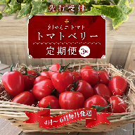 【4月～6月の定期便】たっぷり約2kg×3回！ 人気No.1トマトベリーの定期便 野菜ソムリエサミット 金賞 受賞 長田農園 産地直送 トマト とまと 野菜 やさい フルーツ サラダ 濃厚 甘い ご褒美 プレゼント 美容 健康 リピート多数 人気 高評価 数量限定 碧南市 H004-131