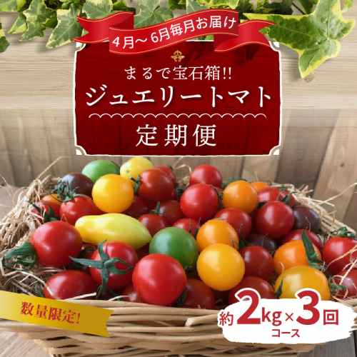 【4月～6月の定期便】たっぷり約2kg×3回！　フルーツジュエリーミニトマトの定期便 長田農園 産地直送 カラフル トマト とまと 野菜 やさい フルーツ サラダ 濃厚 甘い ご褒美 プレゼント 美容 健康 リピート多数 人気 高評価 数量限定 碧南市 H004-132 604849 - 愛知県碧南市