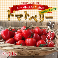 【お試し】甘さ抜群!トマト嫌いでも食べられるトマトベリー 700g（1月～4月発送） H004-125