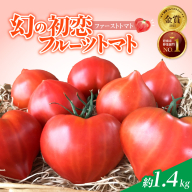【2026年度予約分】【予約受付】 たった3ヶ月しか食べられない 幻 フルーツ トマト ファーストトマト 容量 約1.4kg 特に美味しい 3月 ? 5月 限定発送 長田農園 完全木熟栽培 果皮 薄い もっちり食感 甘い リコピン 野菜 碧南市 送料無料 H004-127
