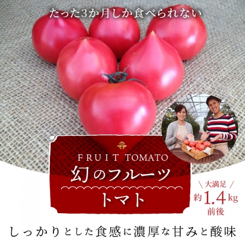 【大人気！】たった3ヶ月しか食べられない　幻のファーストトマト 　たっぷり約1.4kg（3月～5月発送）　H004-127 604862 - 愛知県碧南市