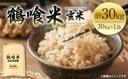 【先行予約】 《令和7年産》 鶴喰米 玄米30kg くまさんの輝き 米 白米 熊本県産 国産 【2025年10月中旬より順次発送】 605048 - 熊本県八代市