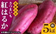 【定番の焼き芋から様々なお料理に！】佐賀県武雄市産 さつまいも 紅はるか 約5kg /おかわりのうえん [UDD001] 芋 いも サツマイモ
