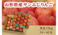 《先行予約 2024年度発送》【山形県産】サンふじりんご秀品10kg FSY-0410