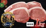 三重県 亀山市 豚肉 ロース 1kg 小林ファームが愛情こめて育てた三元豚（焼肉用） F23N-461