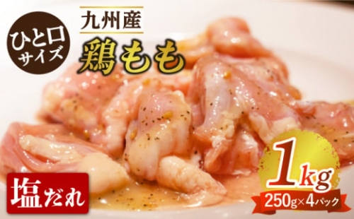 【ひと口サイズ】鶏もも（塩だれ味） 1kg（250g×4パック）/九州産  鶏肉 モモ肉  小分け 〈岩永ホルモン〉 [EAX120]