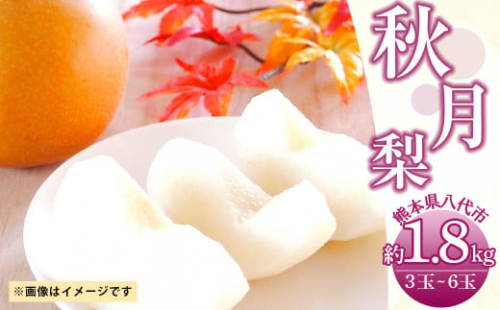 【先行予約】 秋月梨 約1.8kg（3～6玉） 梨 605722 - 熊本県八代市
