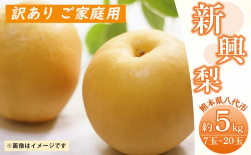 先行予約 新興梨 訳あり ご家庭用 約5kg 7 玉 梨 熊本県八代市 Au Pay ふるさと納税 先行予約 新興梨 訳あり ご家庭用 約5kg 7 玉 梨 熊本県八代市 Au Pay ふるさと納税