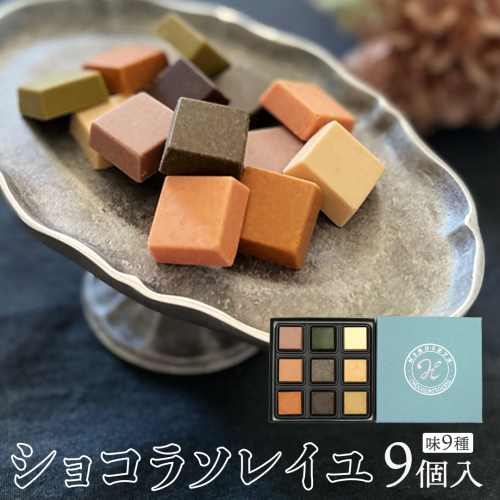 ショコラソレイユ 9種 チョコレート チョコ スイーツ デザート 高級 ギフト 贈り物 お礼 プレゼント 手土産 お菓子 [DJ07-NT] 605927 - 茨城県つくばみらい市
