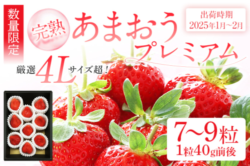 あまおうプレミアム　※2025年1月～2月頃発送予定　BD02 606107 - 福岡県大木町