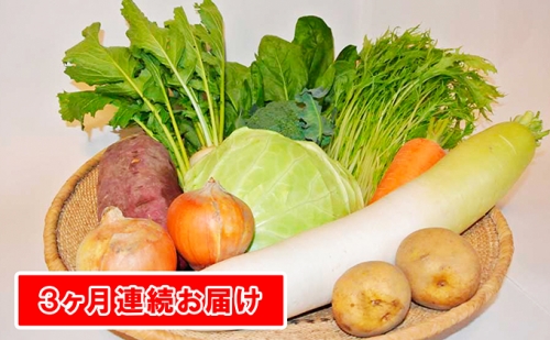 【定期便】季節の有機野菜「詰合せセット」（10種×3回） 60619 - 長野県駒ヶ根市