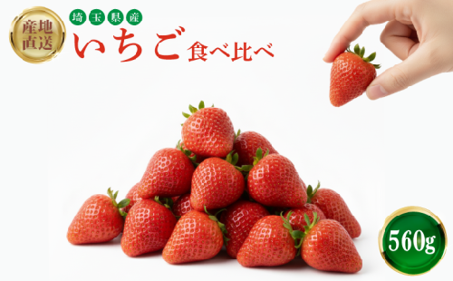 【埼玉いちご】 いちご 食べ比べ 予約受付 560g 紅ほっぺ かおり野 よつぼし 恋みのり おいCベリー 苺 イチゴ ストロベリー strawberry ichigo 埼玉県産 果物 くだもの フルーツ フルーツいちご itigo げんき農場 埼玉県 羽生市