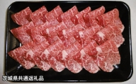 【茨城県共通返礼品】常陸牛&ローズポーク切落し 詰合わせ 合計1kg 牛肉 豚肉
