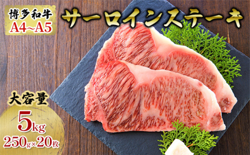 牛肉 サーロインステーキ 合計5kg 博多和牛 A4～A5 セット 250g×20枚 配送不可：離島 606680 - 福岡県朝倉市