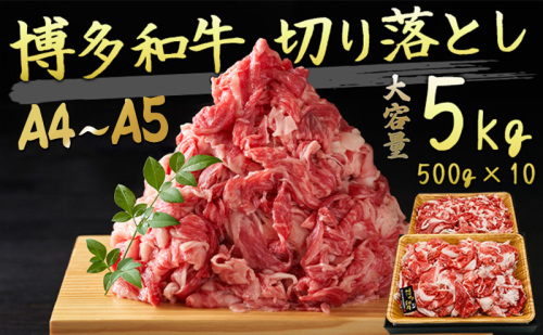 限定 牛肉 博多和牛 A4～A5 切り落とし 合計5kg（500g×10p）肩ロース 赤身 バラ カルビ 小分け 大好評につき継続！配送不可：離島  606682 - 福岡県朝倉市