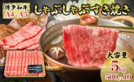 肉 博多和牛 A5 しゃぶしゃぶ すき焼きセット 5kg（500g×10パック）【配送不可：離島】