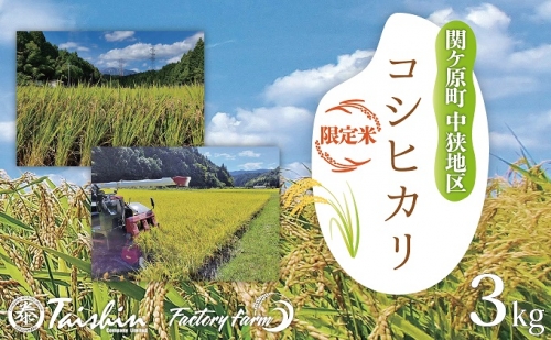 令和4年産 関ケ原町中挾地区限定米 コシヒカリ 精米 3kg 白米
