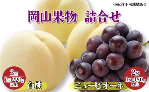 桃 ぶどう 2024年 先行予約 岡山果物 詰合せ 白桃 2玉（1玉 220g以上）／ ニュー ピオーネ 2房（1房 480g以上）化粧箱入り もも 葡萄 岡山県産 国産 フルーツ 果物 ギフト 果物類  606793 - 岡山県瀬戸内市