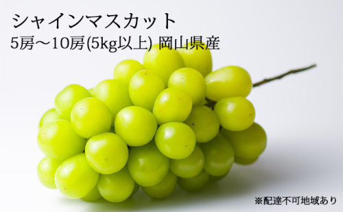 ぶどう［2023年先行予約］シャインマスカット 5房～10房（5kg以上