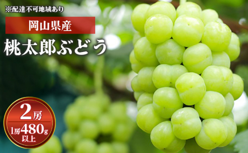  ぶどう［2023年先行予約］桃太郎ぶどう 2房（1房 480g以上）化粧箱入り 岡山県産