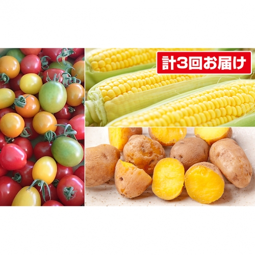 返礼品詳細ページ Au Pay ふるさと納税 北海道壮瞥町ふるさと定期便aセット ミニトマト とうもろこし じゃがいも 計3回お届け 7月 9月 返礼品詳細ページ Au Pay ふるさと納税 北海道壮瞥町ふるさと定期便aセット ミニトマト とうもろこし じゃがいも 計3回お届け 7月 9月