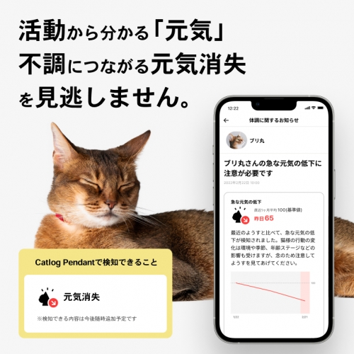 K2156 【ペット用デバイス】猫の行動と体調を見守るスマート首輪