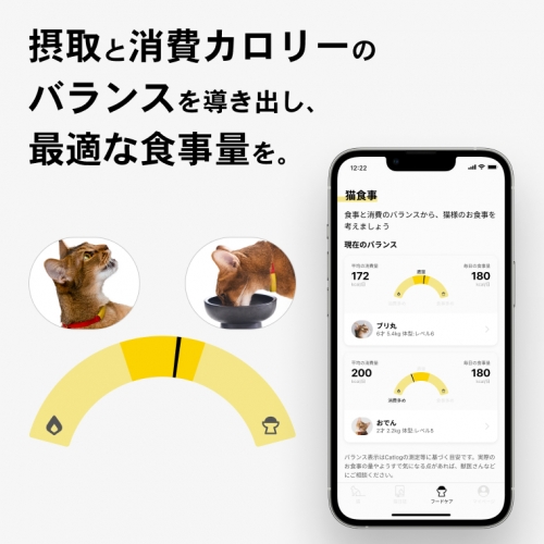 K2156 【ペット用デバイス】猫の行動と体調を見守るスマート首輪