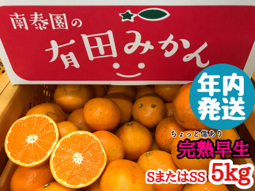 ZF6052n_≪年内発送≫ちょっと傷あり【完熟早生・有田みかん】SまたはSSサイズ／約5kg 607252 - 和歌山県湯浅町