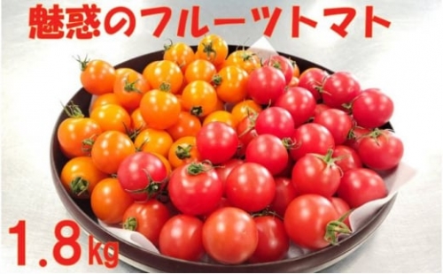 【数量限定】魅惑のフルーツトマト『ワンダフルトマト』1.8kg[№5651-1347]
