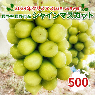 【2026クリスマス（23日～25日必着）】長野県長野市産シャインマスカット500g 果物 ぶどう フルーツ デザート おやつ 食後 信州のぶどう 長野県産 高級ぶどう 607588 - 長野県長野市