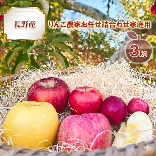 2026年産 長野産りんご農家お任せ詰合わせ家庭用3kg 果物 フルーツ デザート 食後 濃密  607597 - 長野県長野市