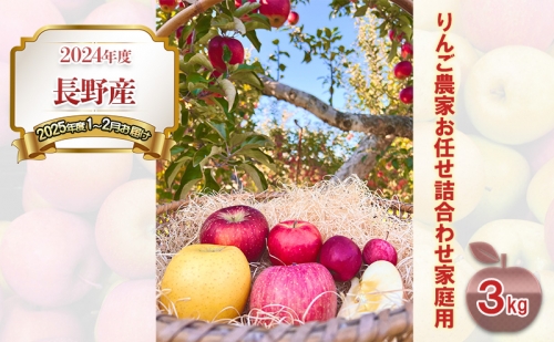 2024年度 長野産（2025年度1～2月お届け）りんご農家お任せ詰合わせ家庭用3kg 607597 - 長野県長野市