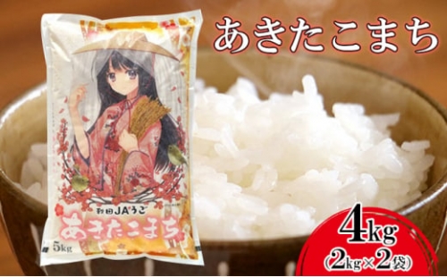 [№5325-0196]美少女イラスト 粒がひと回り大きい 高品質米 あきたこまち2kg×2袋