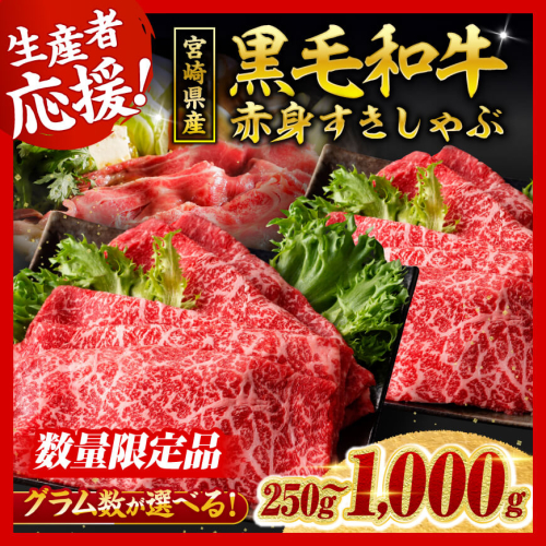 ※発送月・内容量が選べる※ 生産者応援！宮崎県産黒毛和牛赤身すきしゃぶ250g～1000g 【 数量限定 牛肉 牛 肉 牛肉 すき焼き すきやき 牛肉 しゃぶしゃぶ スライス 生産者応援企画！ 】 607626 - 宮崎県川南町