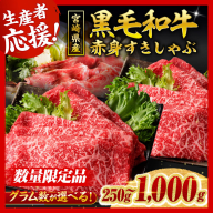 ※発送月・内容量が選べる※ 生産者応援！宮崎県産黒毛和牛赤身すきしゃぶ250g～1000g 【 数量限定 牛肉 牛 肉 牛肉 すき焼き すきやき 牛肉 しゃぶしゃぶ スライス 生産者応援企画！ 】