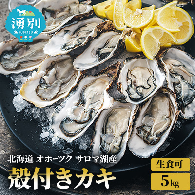 北海道 オホーツク サロマ湖産 殻付き カキ 生食可 5kg 牡蠣職人厳選 牡蠣 国産 貝付き 魚貝類 生牡蠣 ノロウイルス検査実施 海のミルク 海鮮 海の幸 つまみ 晩酌 お酒のあて  607669 - 北海道湧別町