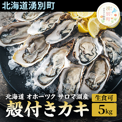 先行予約 【国内消費拡大求む】 北海道 オホーツク サロマ湖産 殻付き カキ 生食可 5kg 牡蠣職人厳選 牡蠣 国産 貝付き 607669 - 北海道湧別町