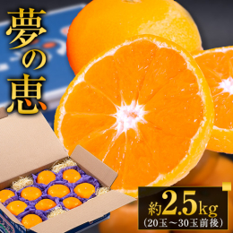 商品情報：夢の恵 名称：みかん 産地：熊本県（長洲町産含む） 内容量：約2.5kg(20玉〜30玉前後入り) 賞味期限：生ものですのでなるべくお早めにお召し上がりください。 保存方法：※直射日光の当た