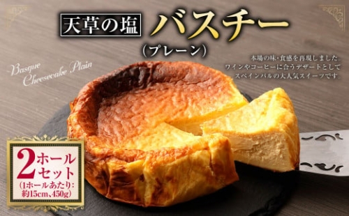 バスクチーズケーキ (プレーン) 5合サイズ (直径約15㎝) 2ホール セット 450g×2 900g チーズ チーズケーキ