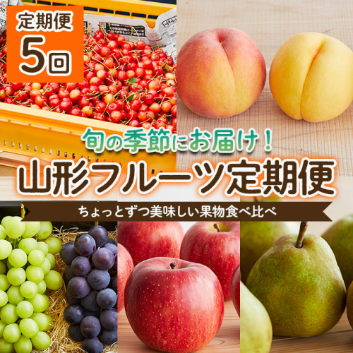 【定期便5回】ちょっとずつ美味しい果物食べ比べ定期便 【令和8年産先行予約】FS25-647 608386 - 山形県山形市