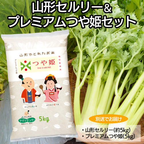 【令和7年5月～発送】山形セルリー(ひめセルリー)＆プレミアムつや姫(特別栽培米)セット【別送でお届け】 FZ22-488 608398 - 山形県山形市