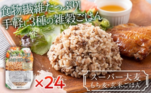栄養満点！スーパー大麦もち麦・玄米ごはん 24個セット 山形県産つや姫 パックライス F21A-251