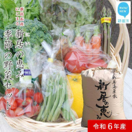 白米 新米 えひめ未来農業協同組合 ブランド米 「新居の恵み （にこまる） 令和6年産」 5kg と 季節の野菜 約2kg セット （クール便でお届け）