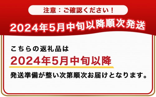 先行受付!】都城産完熟マンゴー(A等級) 【2L以上×2玉】≪2024年5月中旬